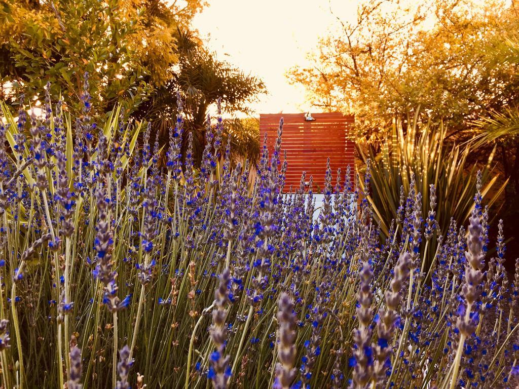 Pictures Guest House Boutique Hotel Oudtshoorn Zewnętrze zdjęcie